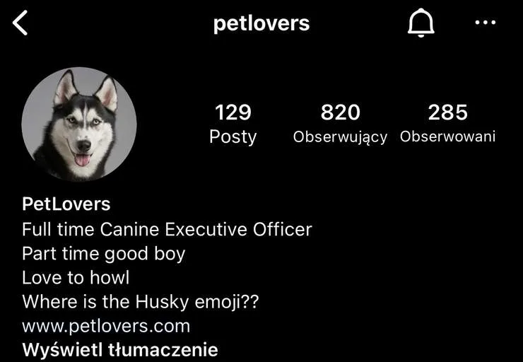 Zrzut ekranu z konta @petlovers: Przed: 820 obserwujących, żadnego kierunku w bio